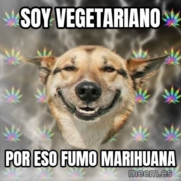 Stoner Dog meme: soy vegetariano / por eso fumo marihuana