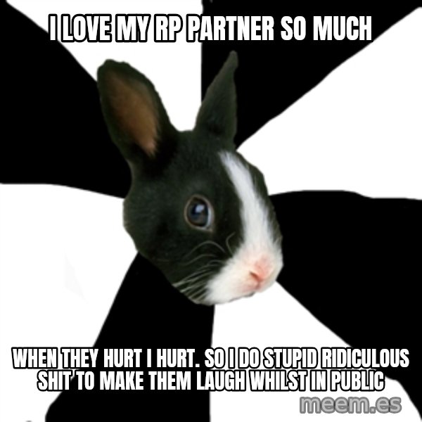 Roleplaying Rabbit meme: I love my rp partner so much / when they hurt i hurt. so i do stupid ridiculous shit to make them laugh whilst in public