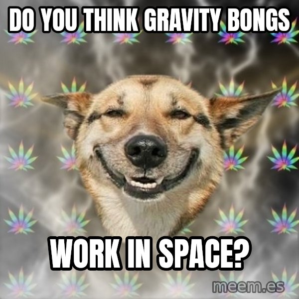 Stoner Dog meme: DO YOU THINK GRAVITY BONGS / WORK IN SPACE?