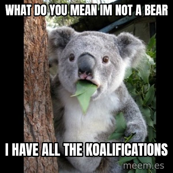 Koala can't believe it meme: What do you mean im not a bear / I have all the Koalifications