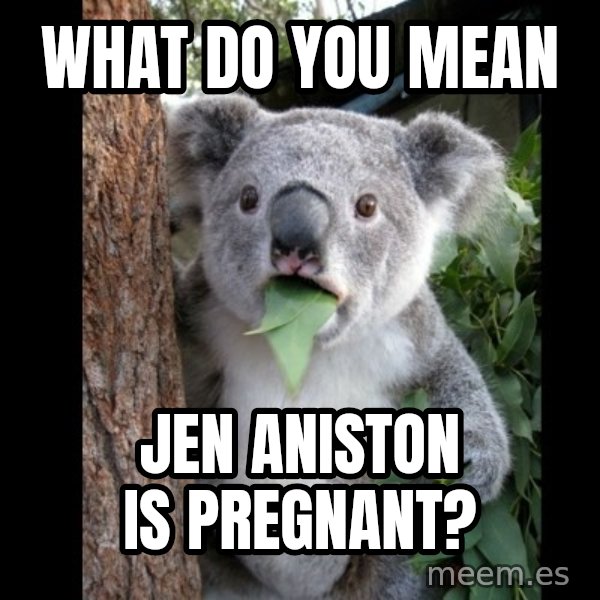 Koala can't believe it meme: WhAt do you mean / Jen aniston is pregnant?