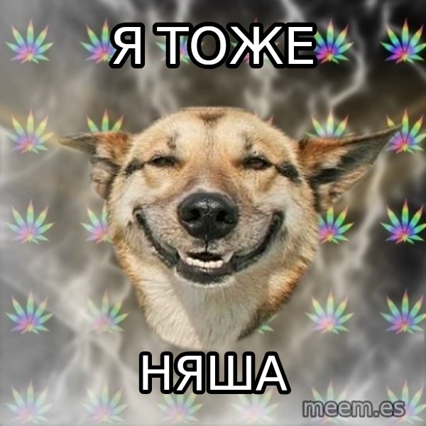 Stoner Dog meme: я тоже / няша