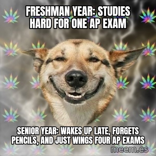 Stoner Dog meme: Freshman year: studies hard for one ap exam / senior year: wakes up late, forgets pencils, and just wings four ap exams