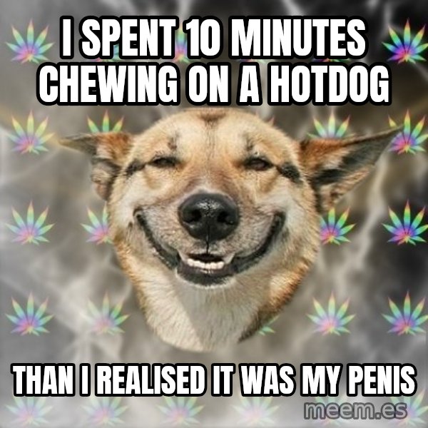 Stoner Dog meme: I SPENT 10 MINUTES CHEWING ON A HOTDOG / THAN I REALISED IT WAS MY PENIS