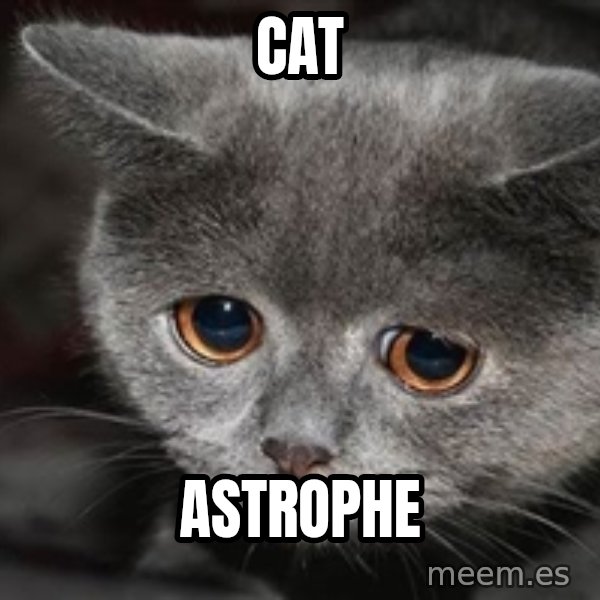 Sadcat meme: cat / astrophe