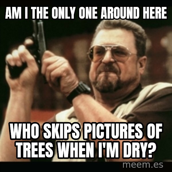 am i the only one around here meme: Am i the only one around here / who skips pictures of trees when i'm dry?
