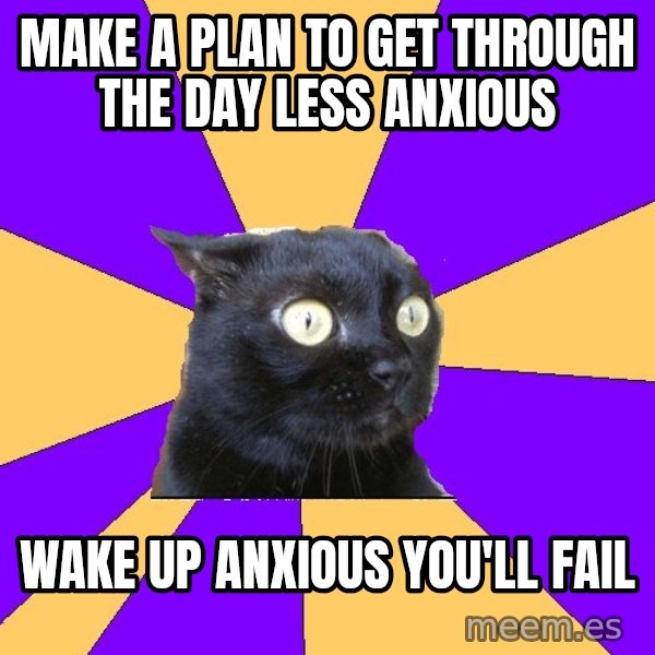 Anxiety Cat meme: make a plan to get through the day less anxious / wake up anxious you'll fail
