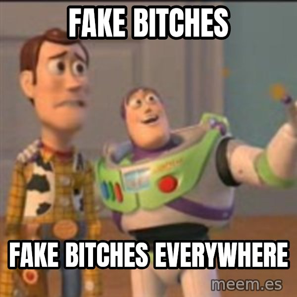 Buzz meme: fake bitches / fake bitches everywhere