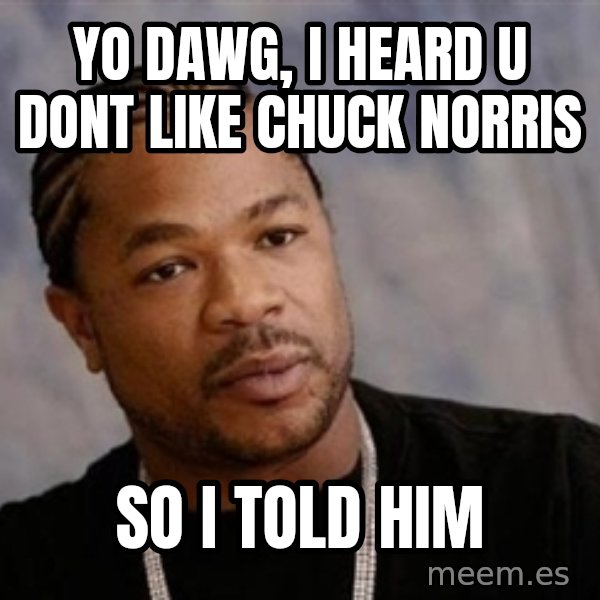 Yo Dawg meme: yo dawg, I heard u dont like chuck norris / so i told him
