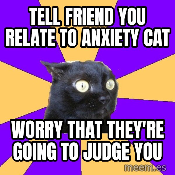 Anxiety Cat meme: tell friend you relate to anxiety cat / worry that they're going to judge you