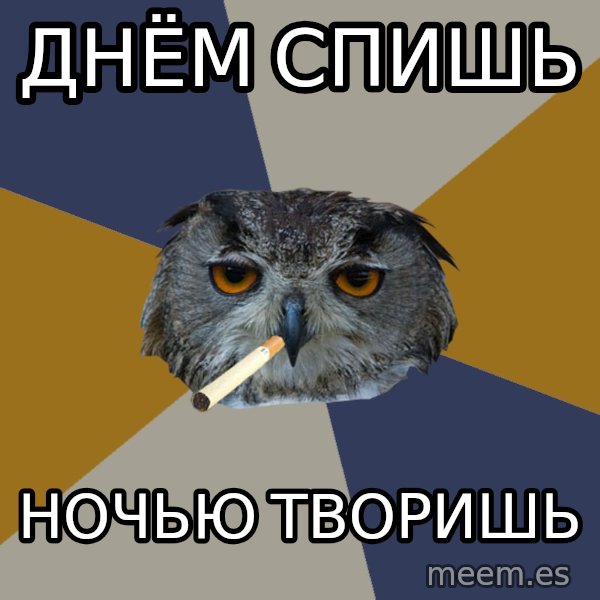 Art Student Owl meme: днём спишь / ночью творишь