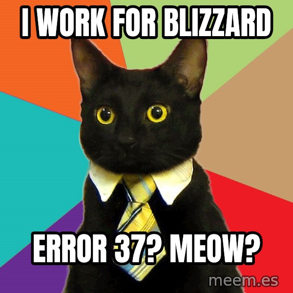 Business Cat meme: I work for blizzard / error 37? meow?