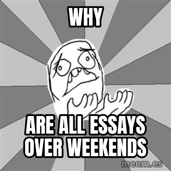Whyyy??? meme: Why / Are all essays over weekends
