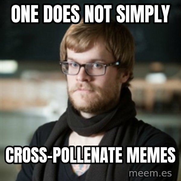 hipster Barista meme: one does not simply / cross-pollenate memes