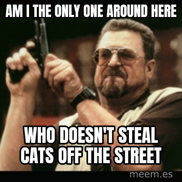 am i the only one around here meme: am i the only one around here / who doesn't steal cats off the street