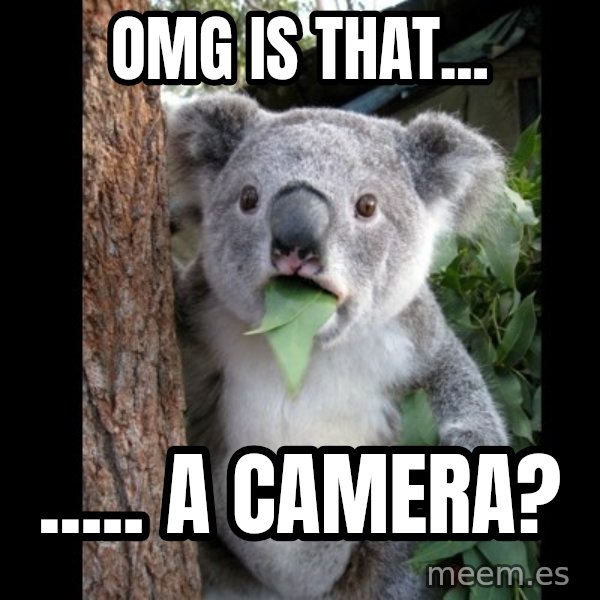 Koala can't believe it meme: omg is that... / ..... a camera?