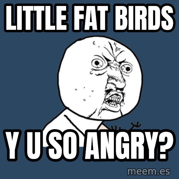 Y U No meme: little fat birds / y u so angry?