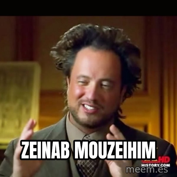 History guy meme: Zeinab Mouzeihim