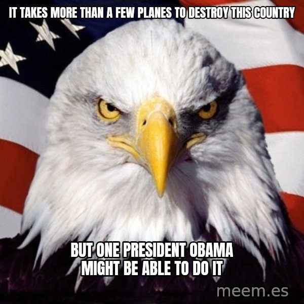 American Pride Eagle meme: it takes more than a few planes to destroy this country / but one president obama might be able to do it