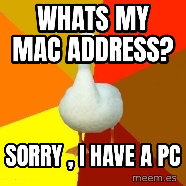 Technologically Impaired Duck meme: whats my mac address? / sorry , i have a pc