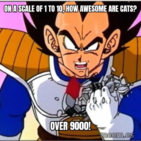 Over 9000 meme: On a scale of 1 to 10, how awesome are cats? / over 9000!