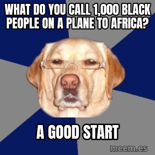 Racist Dog meme: What do you call 1,000 black people on a plane to africa? / A good start