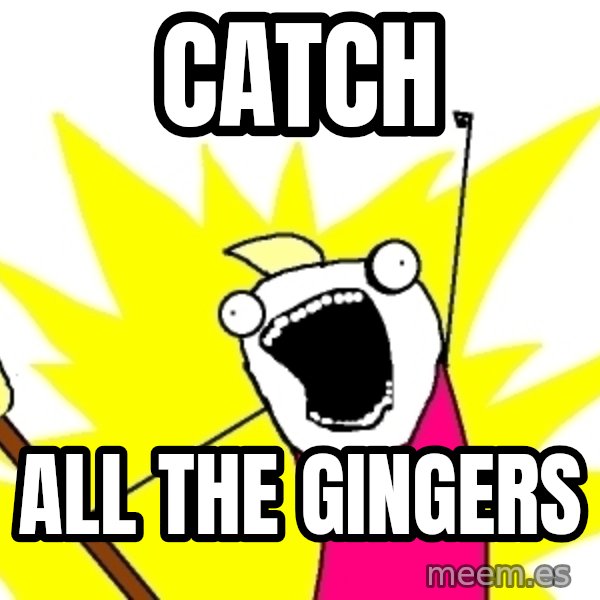 X ALL THE THINGS meme: catch / all the gingers