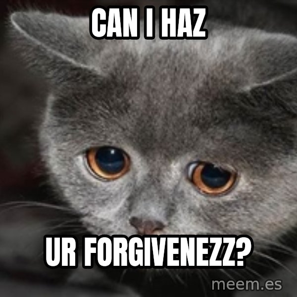 Sadcat meme: can i haz / ur forgivenezz?