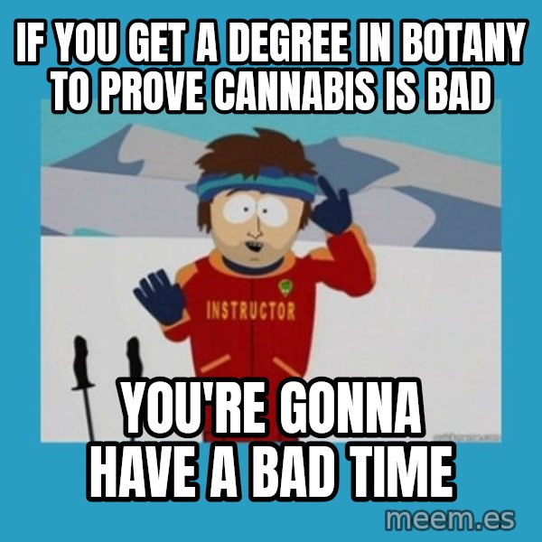 you're gonna have a bad time guy meme: If you get a degree in botany to prove cannabis is bad / you're gonna have a bad time