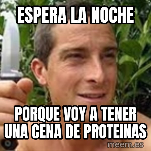 Bear Grylls meme: ESPERA LA NOCHE / PORQUE VOY A TENER UNA CENA DE PROTEINAS