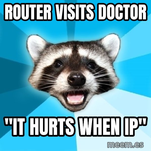 Lame Pun Coon meme: ROuter visits doctor / "It hurts when IP"