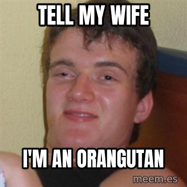 Really highguy meme: TELL MY WIFE / I'M AN orangutan