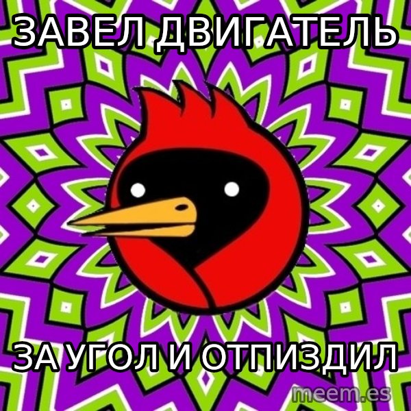 Omsk Crow meme: ЗАВЕЛ ДВИГАТЕЛЬ / ЗА УГОЛ И ОТПИЗДИЛ