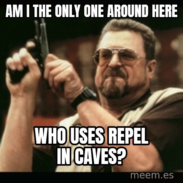 am i the only one around here meme: Am I the only one around here / who uses repel in caves?