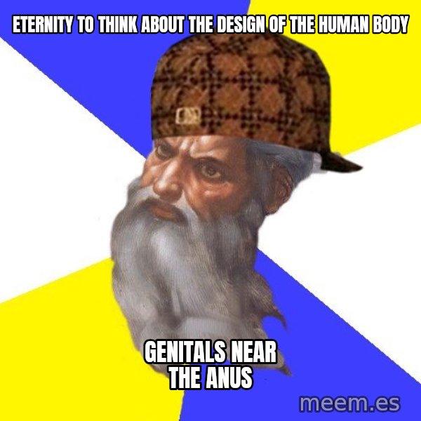 Scumbag God meme: ETERNITY TO THINK ABOUT THE DESIGN OF THE HUMAN BODY / GENITALS NEAR THE ANUS
