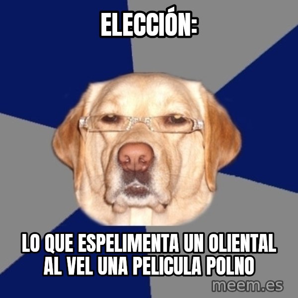 Racist Dawg meme: Elección: / Lo que espeLimenta un oLiental al vel una pelicula poLno