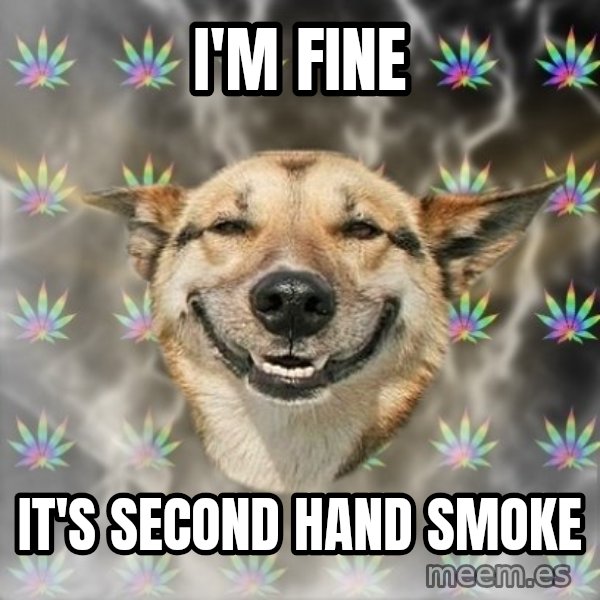 Stoner Dog meme: i'm fine / it's second hand smoke