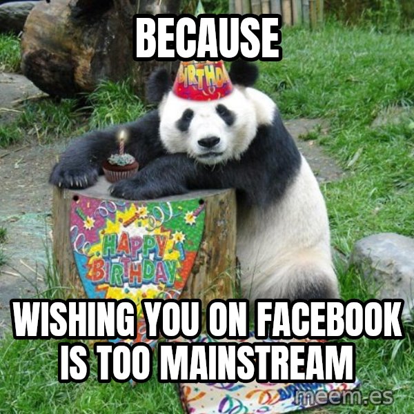 Happy Birthday Panda meme: Because / wishing you on facebook is too mainstream