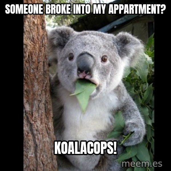 Koala can't believe it meme: Someone broke into my appartment? / Koalacops!