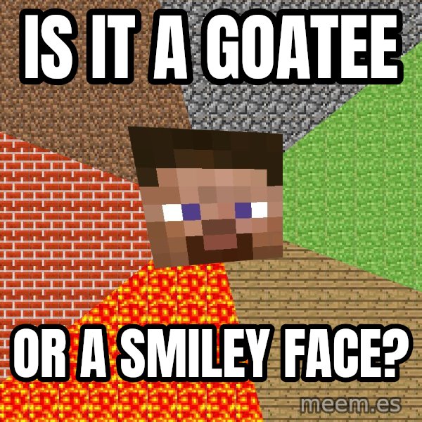 Minecraft Guy meme: Is it a goatee / or a smiley face?