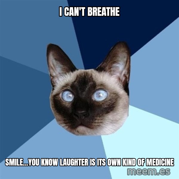 Chronic Illness Cat meme: I can't breathe / smile...You know laughter is its own kind of medicine