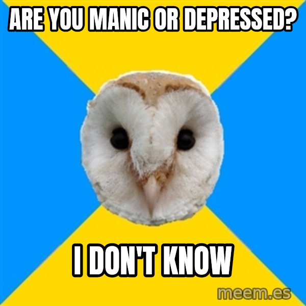 Bipolar Owl meme: are you manic or depressed? / i don't know