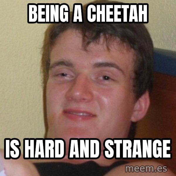 Really Stoned Guy meme: Being a cheetah / is hard and strange