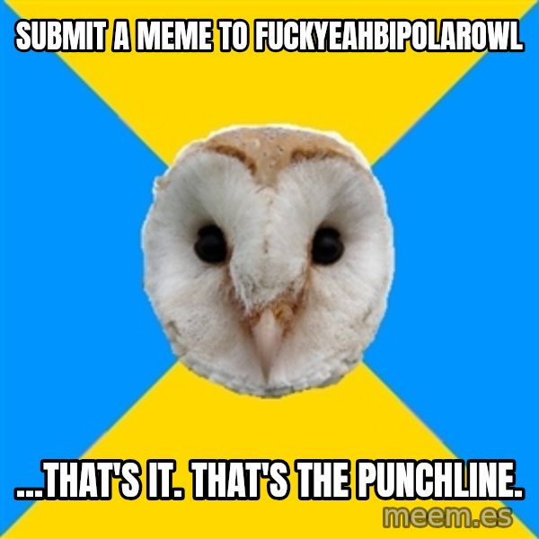 Bipolar Owl meme: Submit a meme to fuckyeahbipolarowl / ...That's it. that's the punchline.