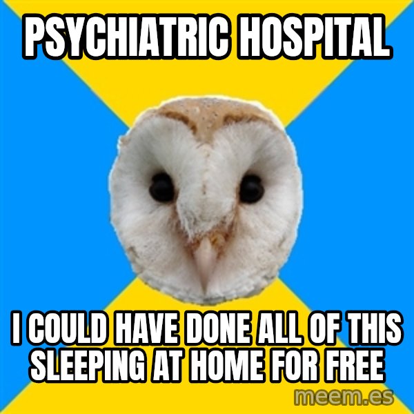 Bipolar Owl meme: Psychiatric hospital / I could have done all of this sleeping at home for free