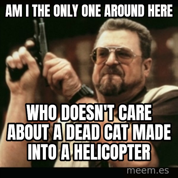 am i the only one around here meme: am i the only one around here / who doesn't care about a dead cat made into a helicopter