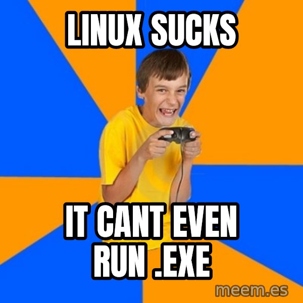 Annoying Gamer Kid meme: LINUX SUCKS / IT CANT EVEN RUN .EXE