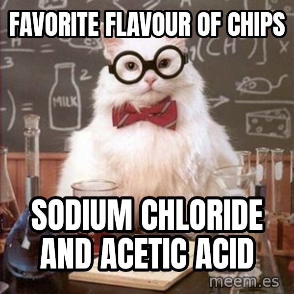 Chemistry Cat meme: Favorite flavour of chips / sodium chloride and acetic acid