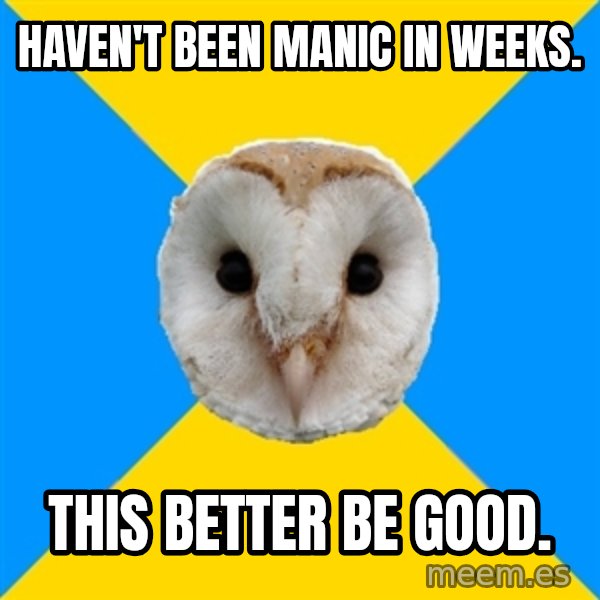 Bipolar Owl meme: Haven't been manic in weeks. / this better be good.