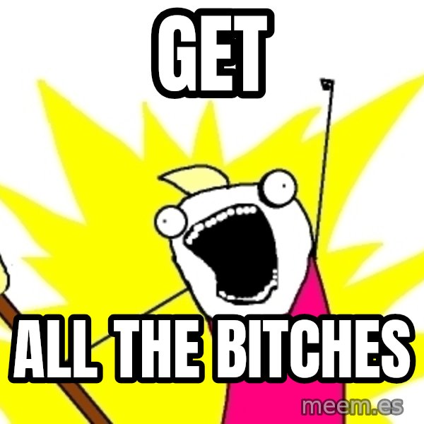 X ALL THE THINGS meme: get / all the bitches